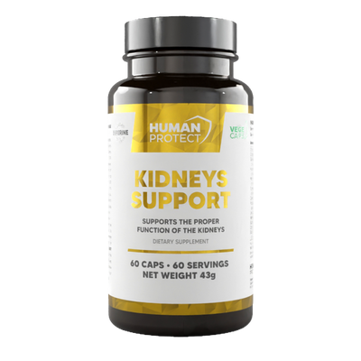 Human Protect Kidneys Support - 60kaps. - ZdroweTO.pl